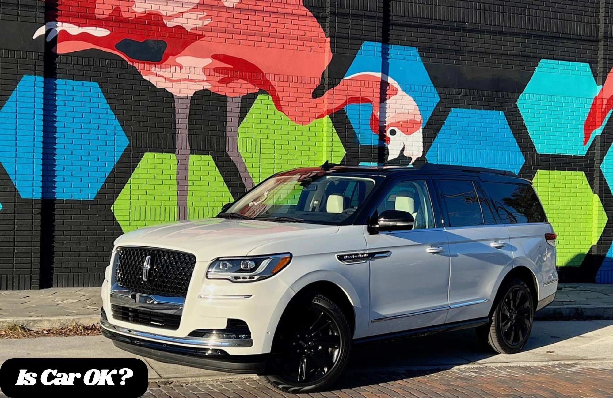 My Experience with the Lincoln Navigator Black Label