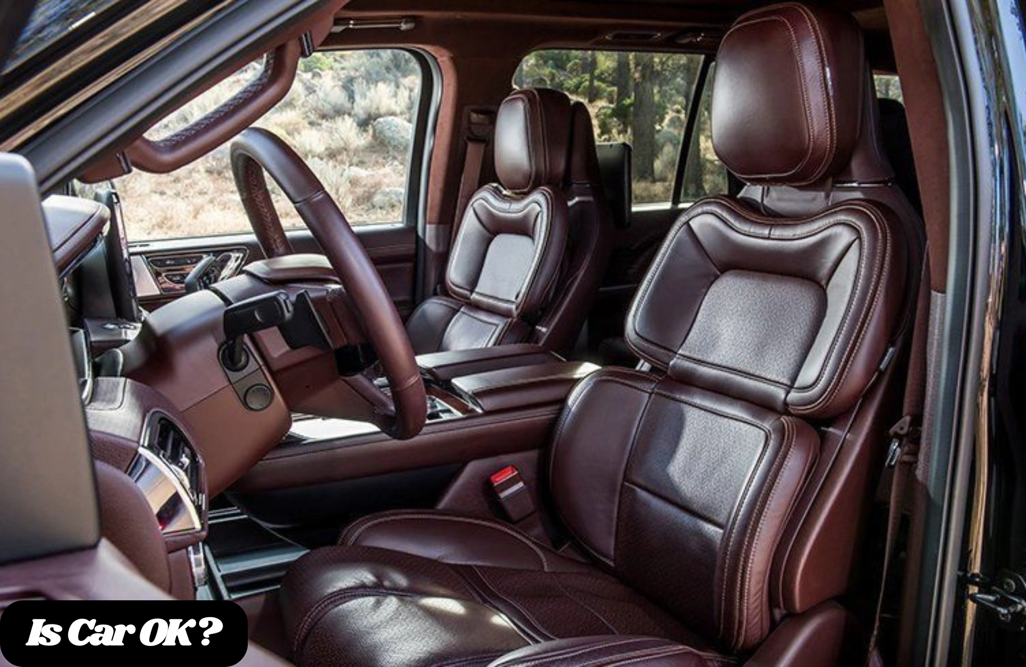 My Experience with the Lincoln Navigator Black Label