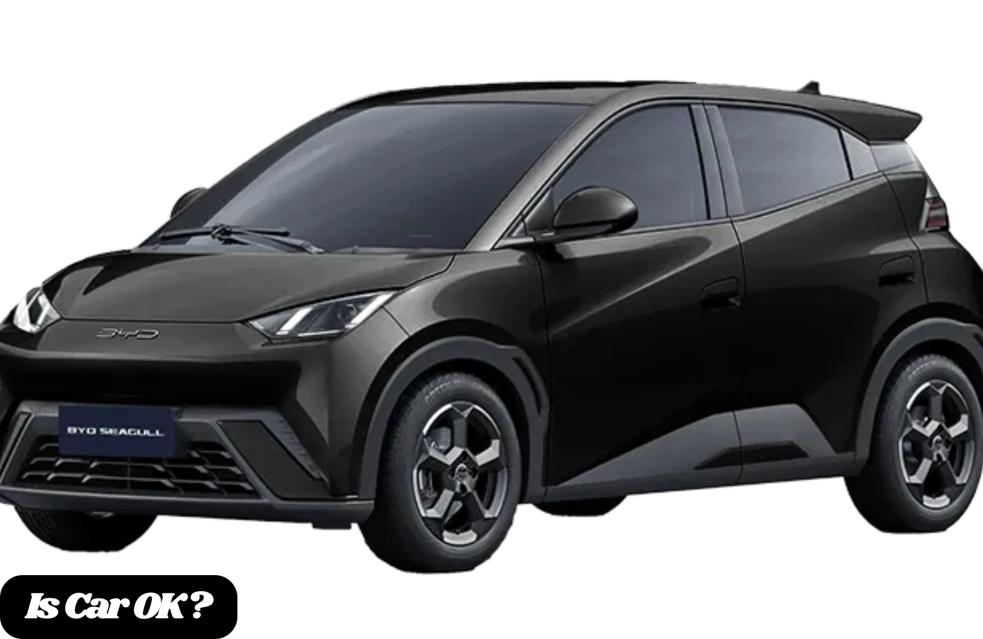 BYD Seagull Full Review