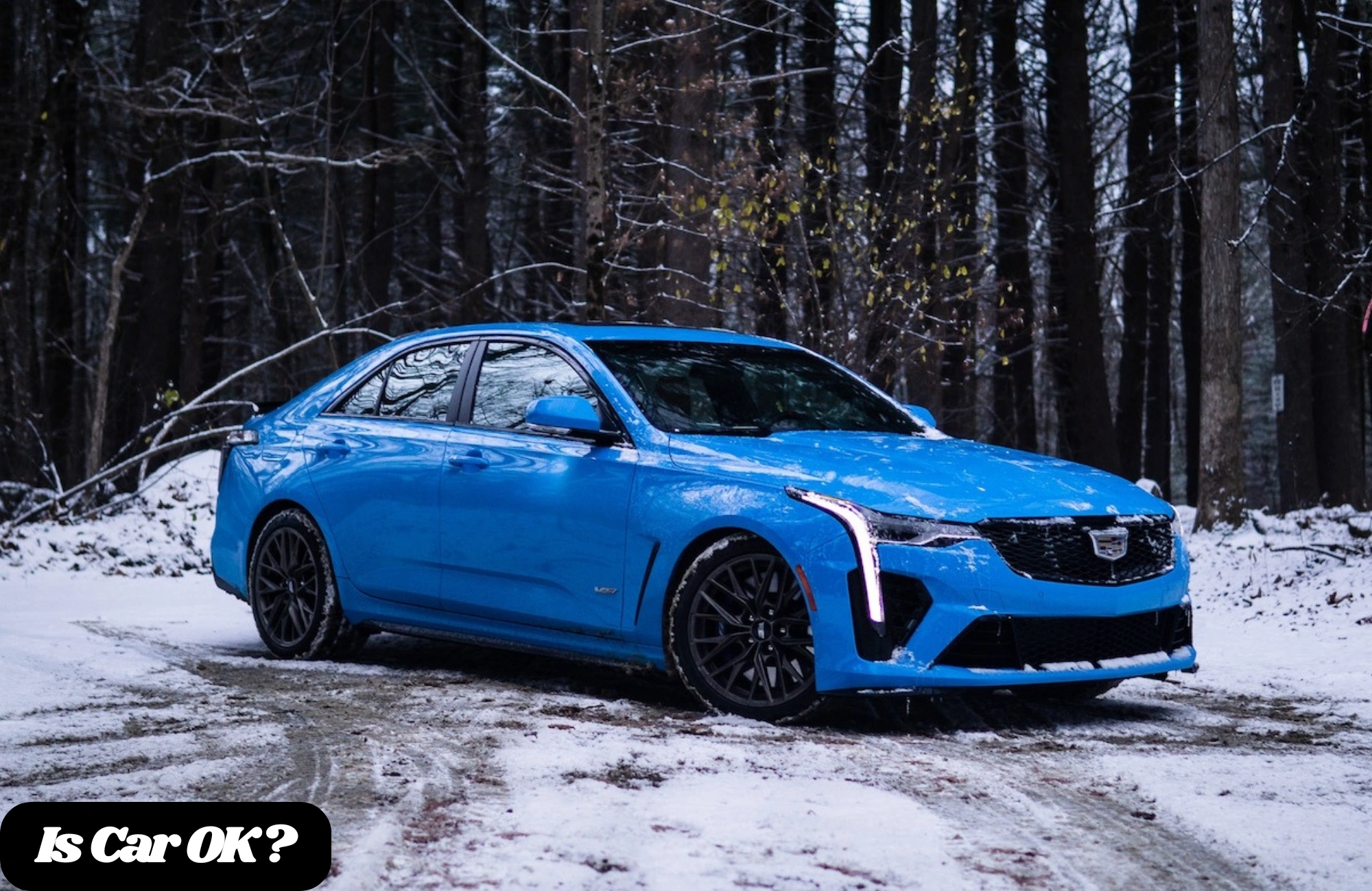 Cadillac CT4-V Blackwing Full Review